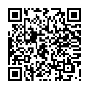 0--001-cell-reverse-number-lookup-free.com QR code