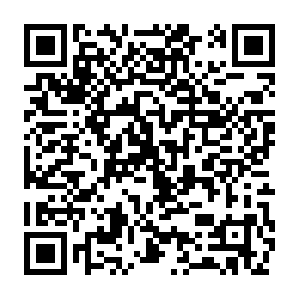 01504db1-29ae-4375-b72d-49ae8107e0af.distil.ninja QR code