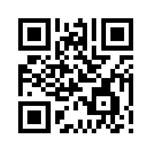 01919.biz QR code