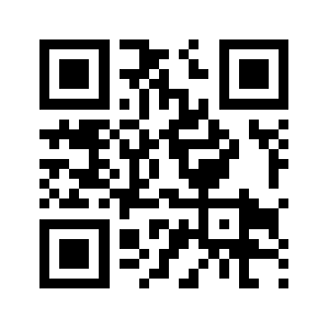 028fyzs.com QR code