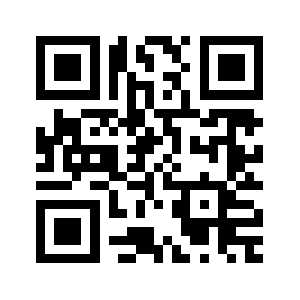 0313035885.com QR code