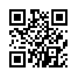 0315313545.com QR code