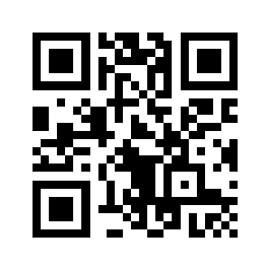 0358fapiao.com QR code