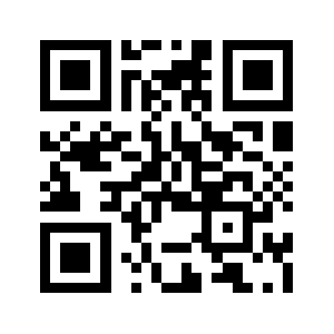 041313.info QR code