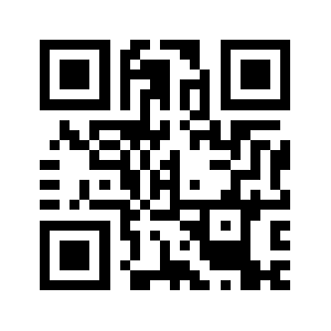 0413ts.com QR code