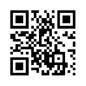 0431ng.com QR code