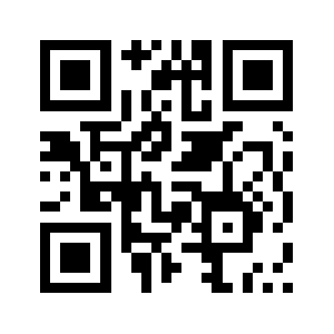 0513zl.com QR code