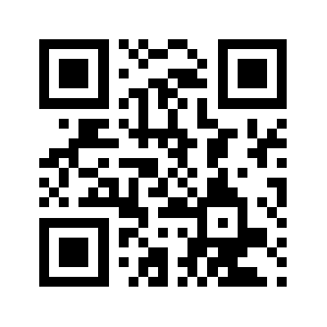 0531dian.com QR code