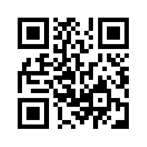 0536238.com QR code