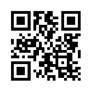 0538666.com QR code