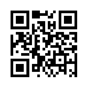 0538dyw.com QR code