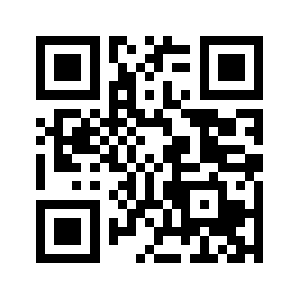 0538gj.com QR code