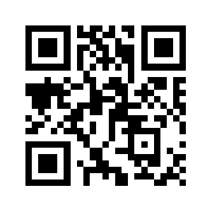 0595pfk.com QR code