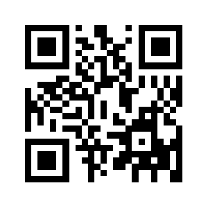 0595q.com QR code