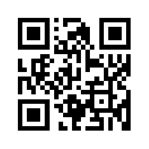 0595qzsj.com QR code