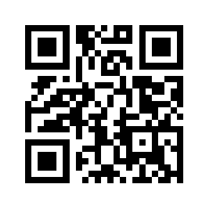 0991zp.com QR code