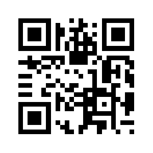 0qrb51.info QR code