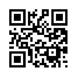 0r9x.biz QR code