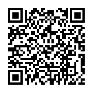 10022020megatest251-service1002012510022020.ru QR code