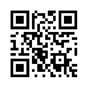 100ppi.com QR code