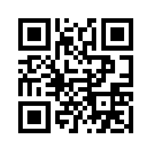 100v.biz QR code