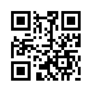 113133.org QR code