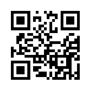 113online.nl QR code