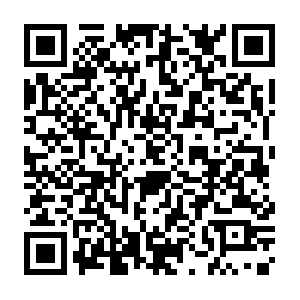 11d4002a-0ab1-4434-b509-32f7037b4535.rms.na.aadrm.com QR code