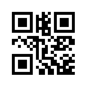 13163 QR code