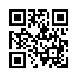 13395281255.com QR code