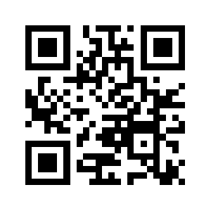 133co.com QR code