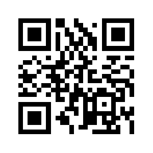 138333.com QR code