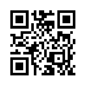 13lei.biz QR code