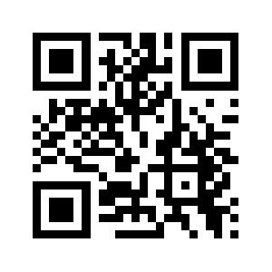 1738538.com QR code