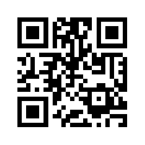 196591.org QR code