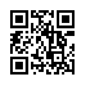 196678q.com QR code