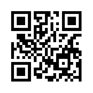 19993z.com QR code