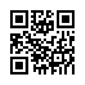 19auction.com QR code