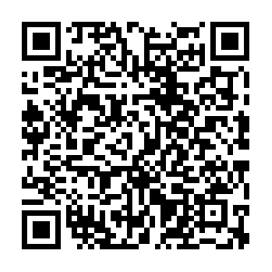 1fewf15gr6t1y6t1u6y1651t6r51gdv65c16s5dc1s61ere11fs2.info QR code