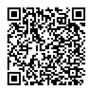 1fewf15gr6t1y6t1u6y1651t6r51gdv65c16s5dc1s61ere11fs5.info QR code