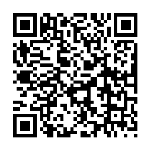 20-tons-waste-tyre-pyrolysis-plant.com QR code