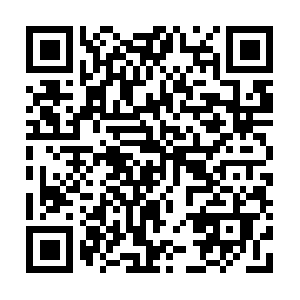 2019.today.dob.sibl.support-intelligence.net QR code