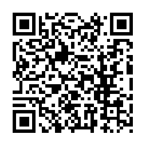 2020-theyear-theworld-stoodstill.com QR code