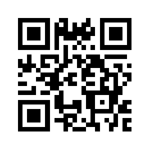 2020lights.com QR code