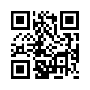 2038.biz QR code