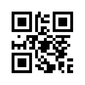 220v.kz QR code