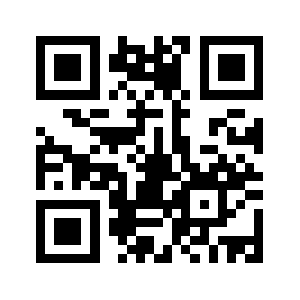 222zizi.com QR code