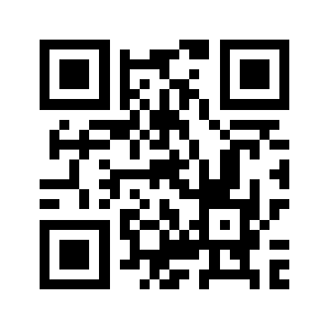 263record.com QR code