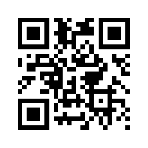 265auto.com QR code