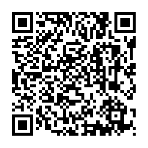 270a401d-a328-4b61-9729-c470396d22d6.distil.ninja QR code